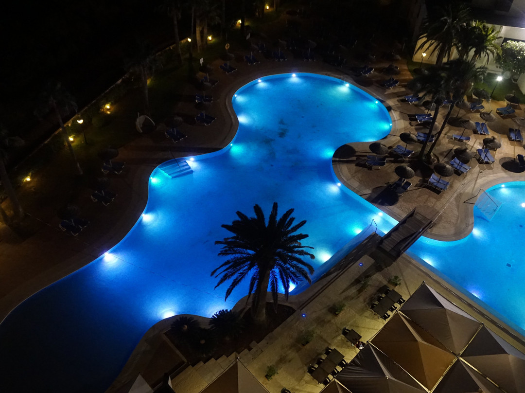 Sol Milanos Pinguinos主图