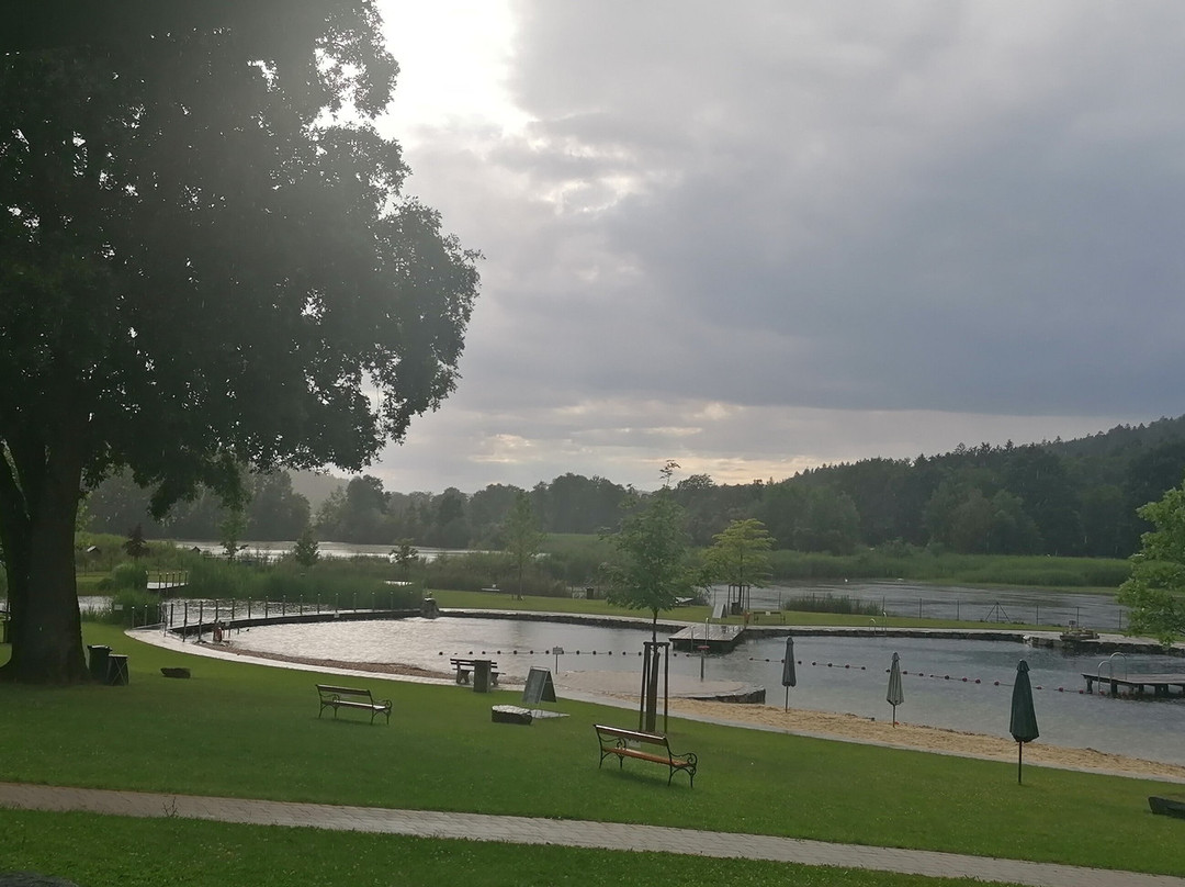 Seerosenbad Kirchberg an der Raab