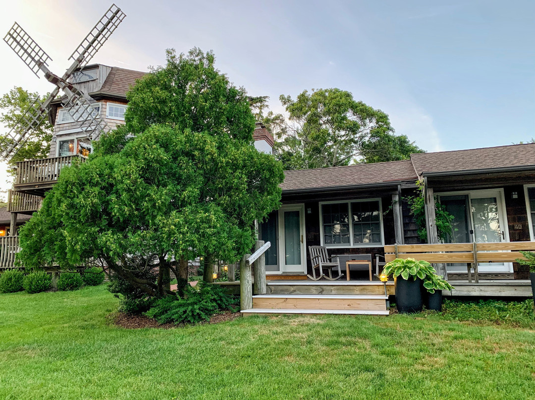 The Hampton Maid主图