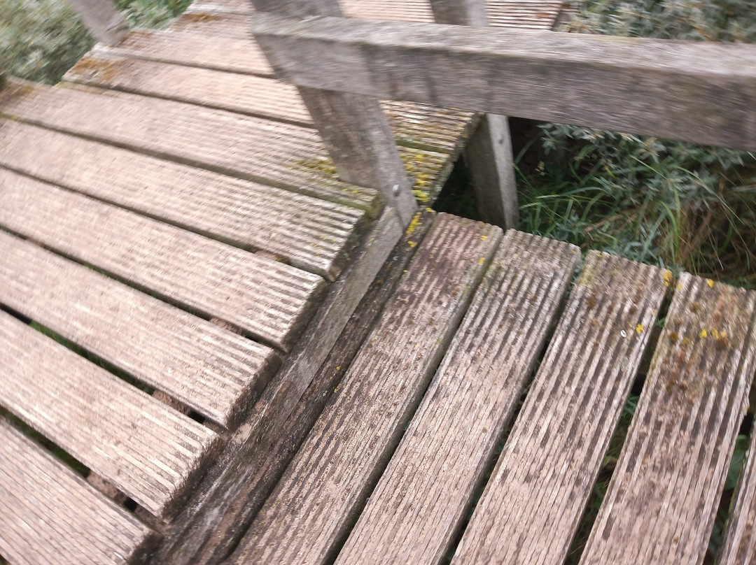 Round and Round House-Anderby Creek必去景点