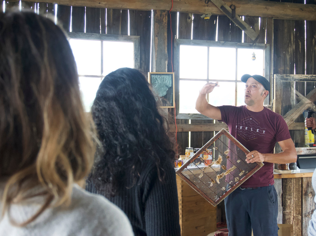 Zofa Excursions-魁北克市必去景点