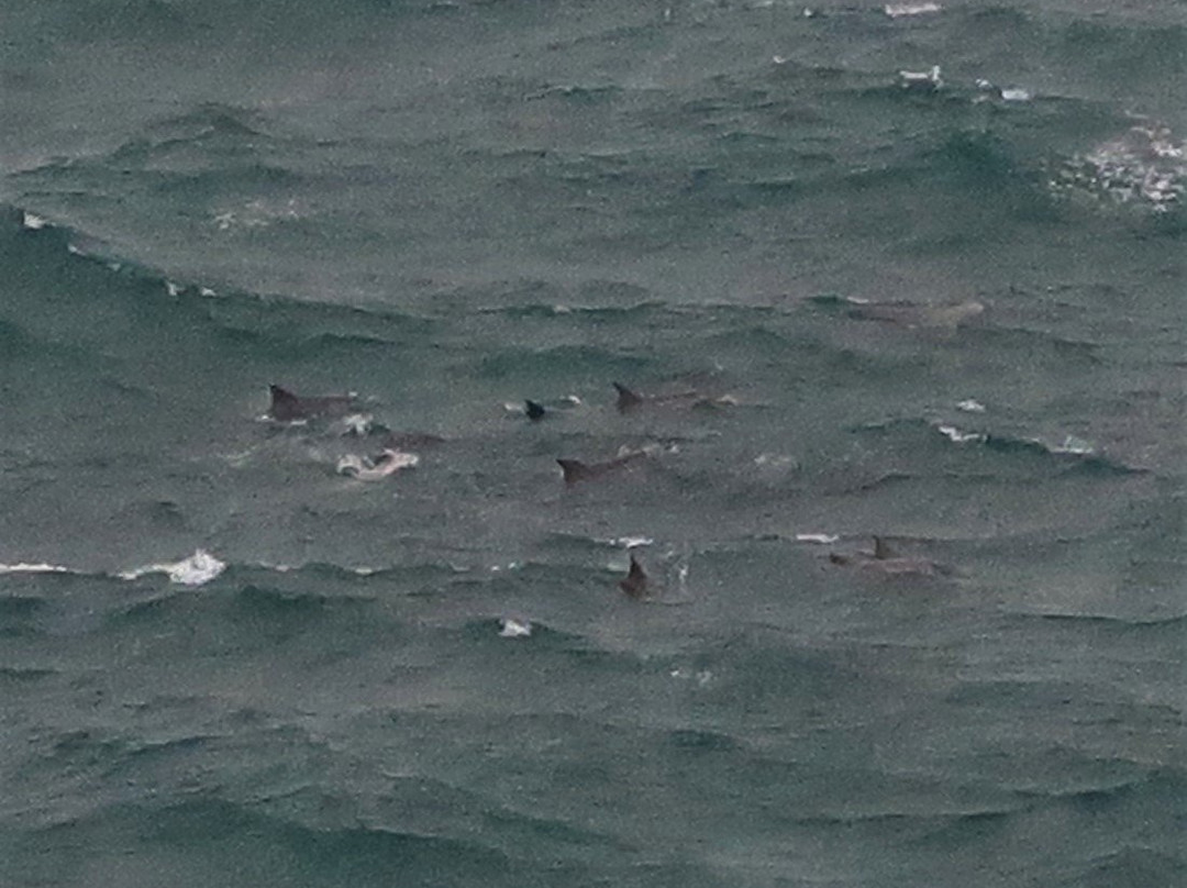 Point d’Entrecasteaux