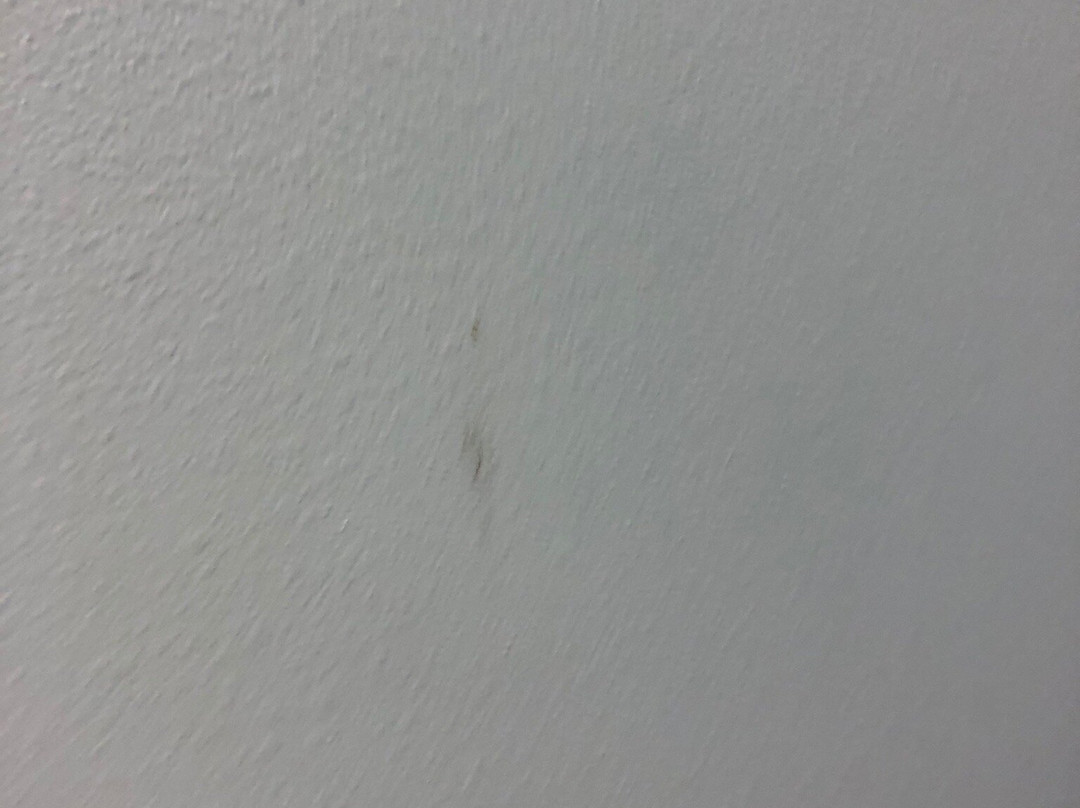 Best Western Plus Ruston Hotel主图