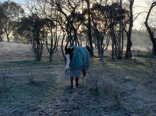 Moore Park Apartments主图