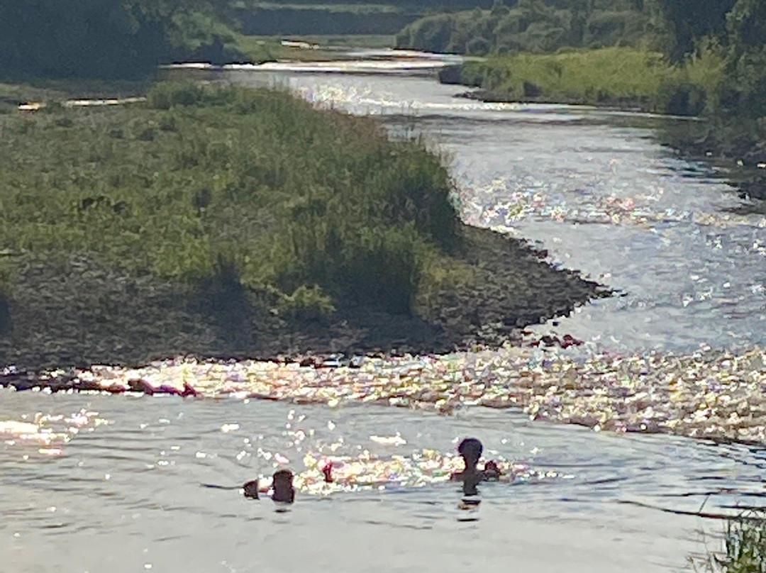 Pammel Park-Winterset必去景点