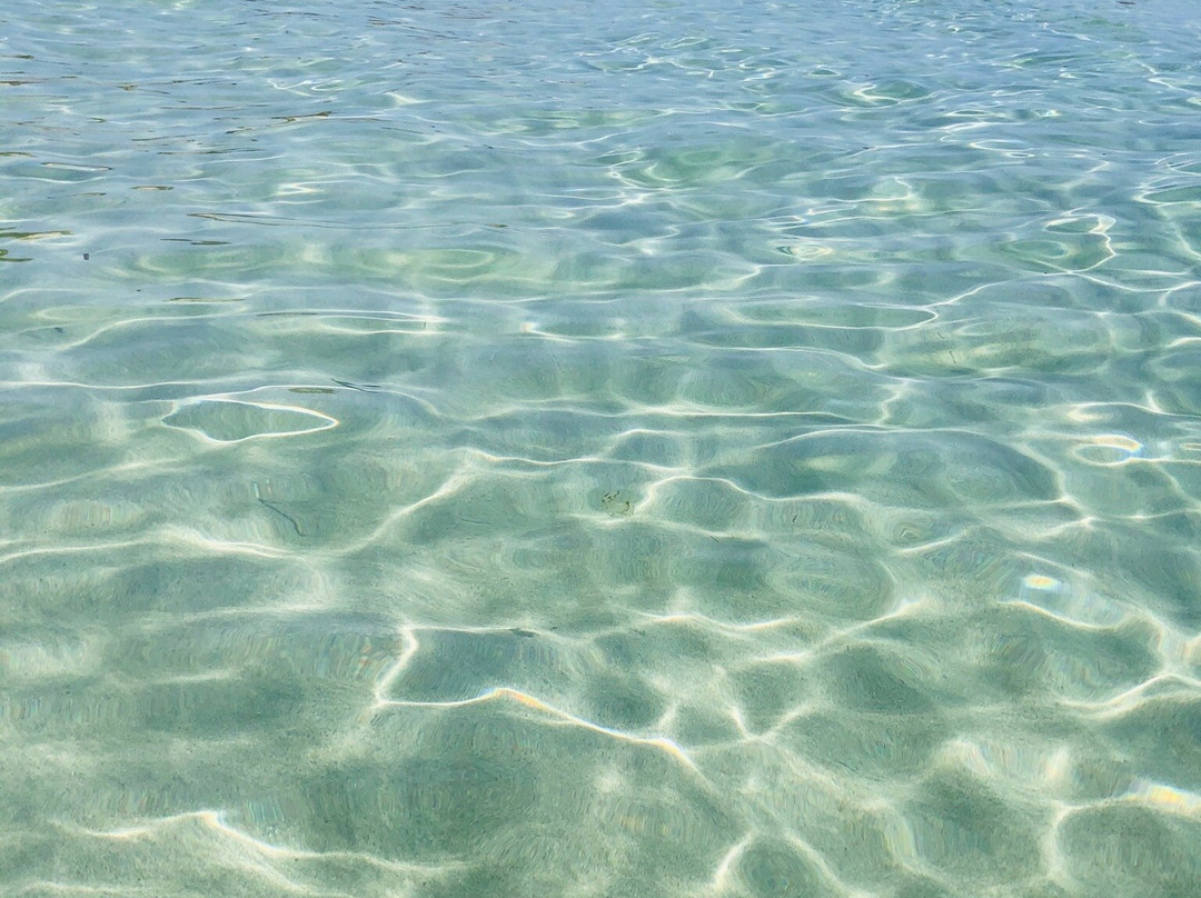 Parco Nazionale Arcipelago Toscano景点图片