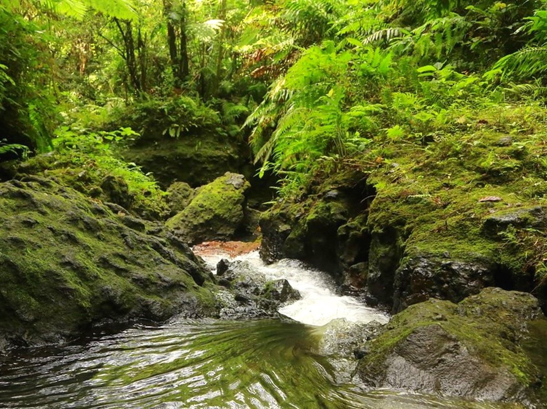 Nazareth Twin Waterfall景点图片