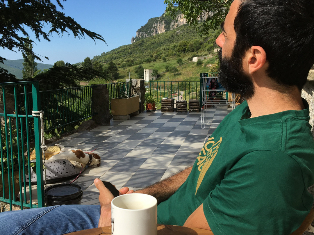 B&B Taccu Maccu主图