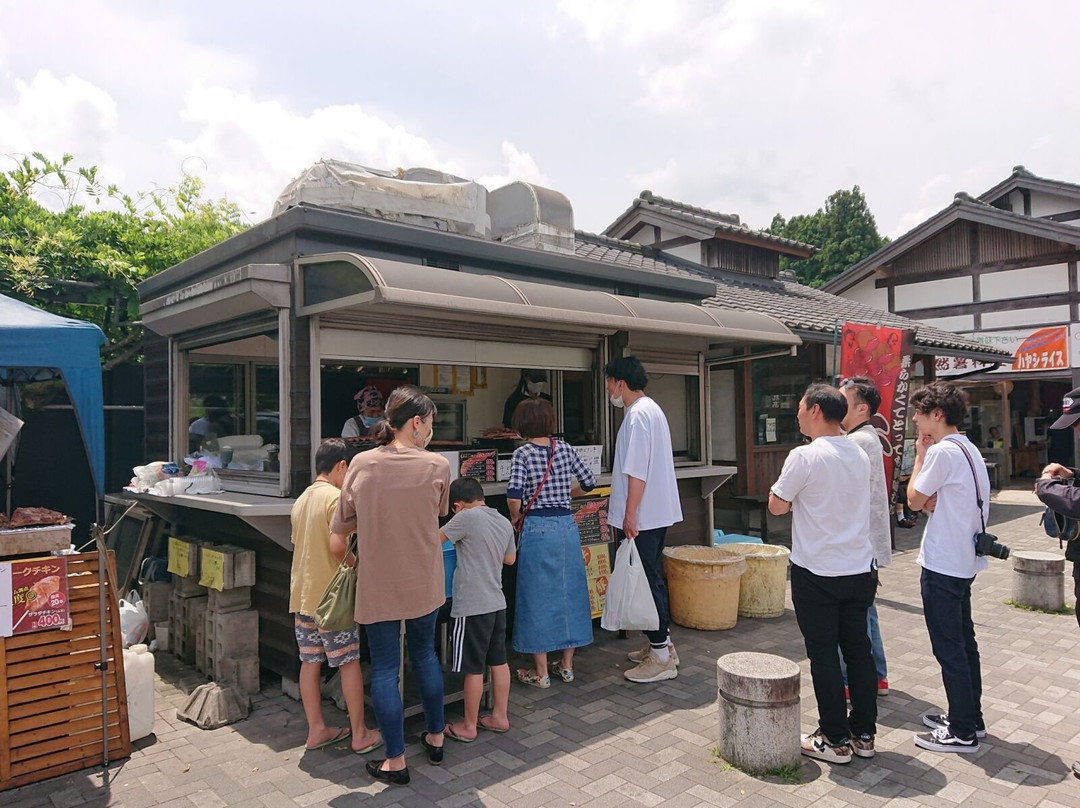 Road Statuin Tsukude Tezukuri Mura景点图片