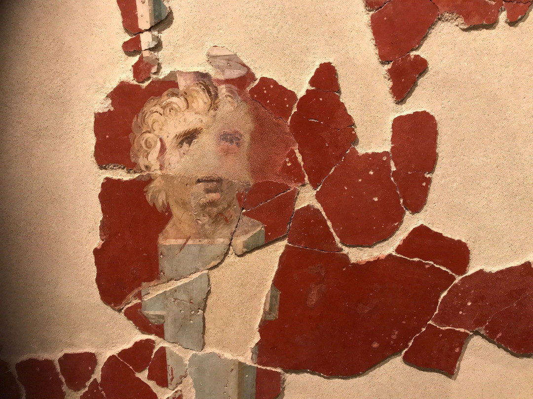 Museo Archeologico Nazionale della Valle Camonica景点图片