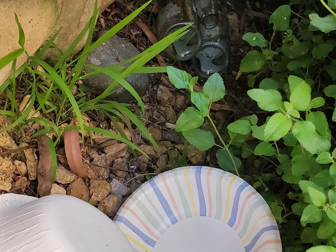 Extended Stay America Los Angeles - San Dimas主图