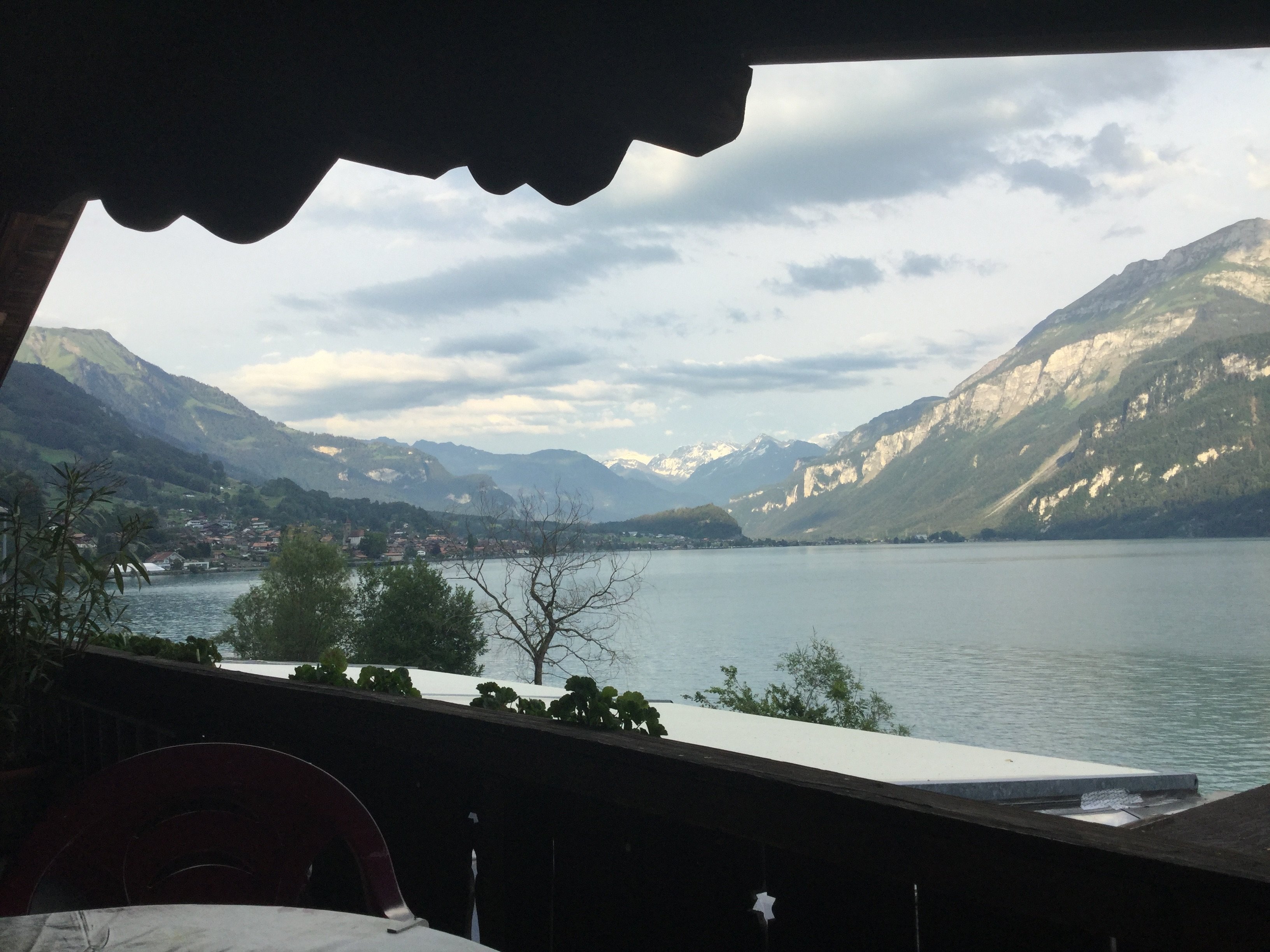 Hotel Wildbach-酒店景观