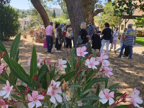 Zaatar - Israel Walking Tours-特拉维夫必去景点