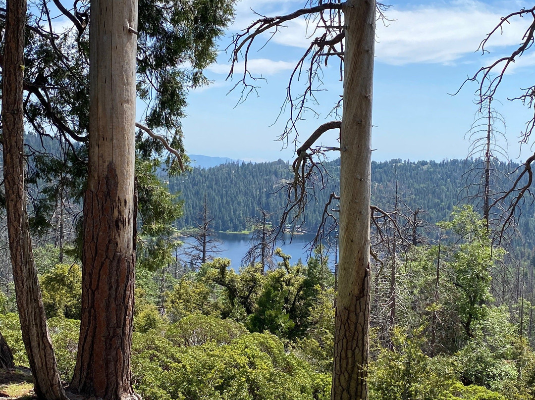 North Grove Loop Trail-红杉&国王峡谷国家公园必去景点