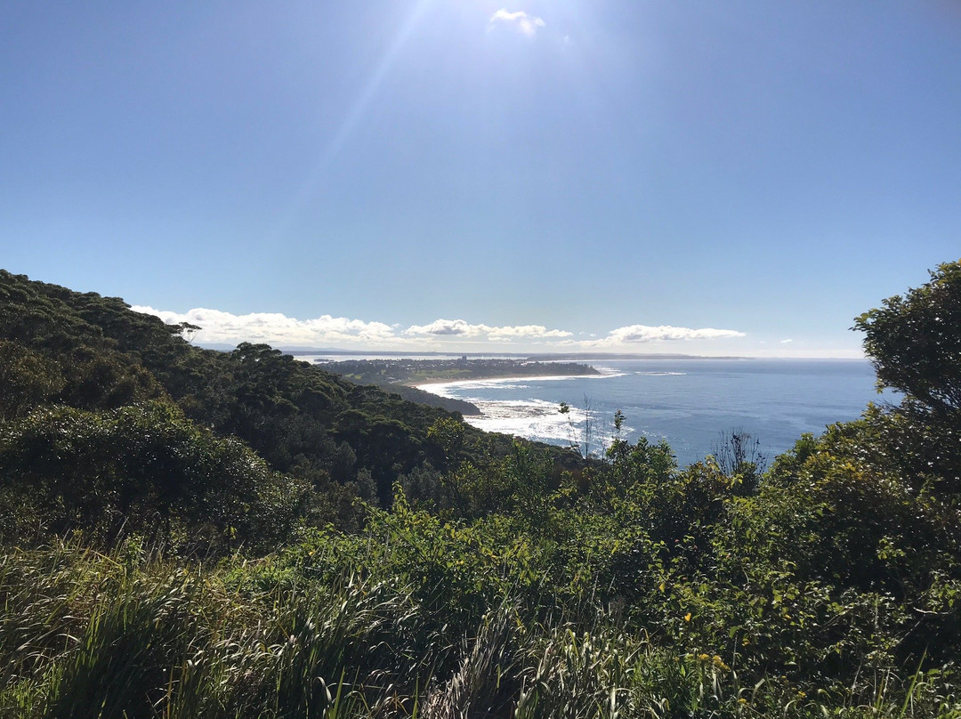 Crackneck Lookout Coast Walk-Bateau Bay必去景点
