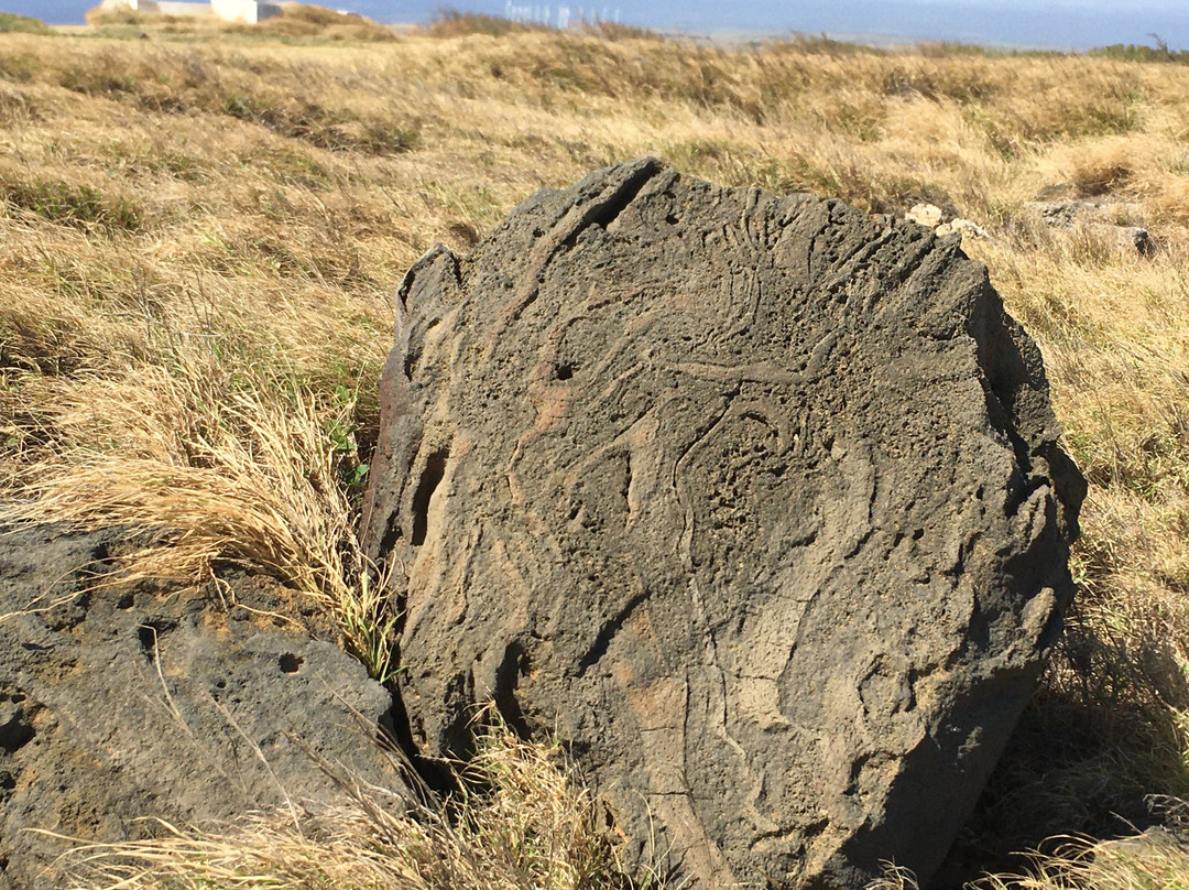 Ka Lae Light-纳勒胡必去景点