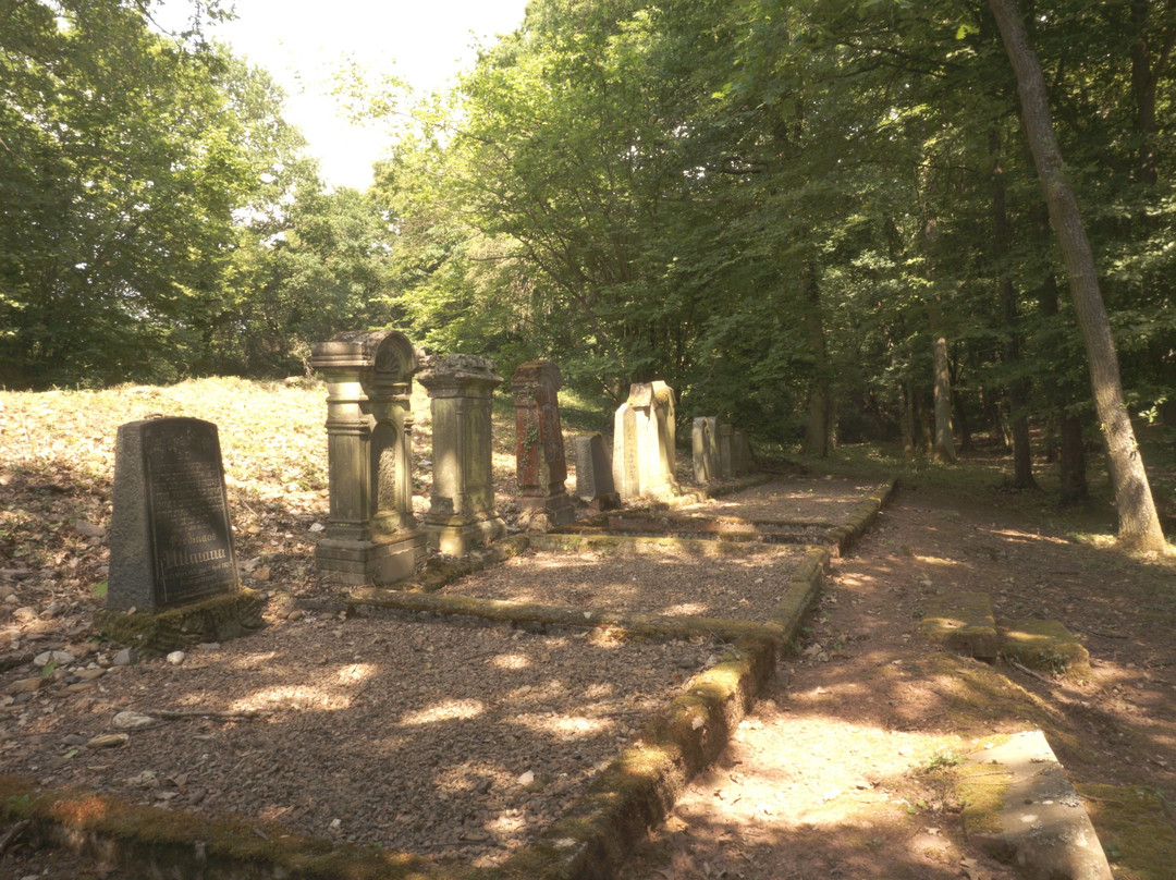 Judischer Friedhof auf dem Domberg-巴特索本海姆必去景点