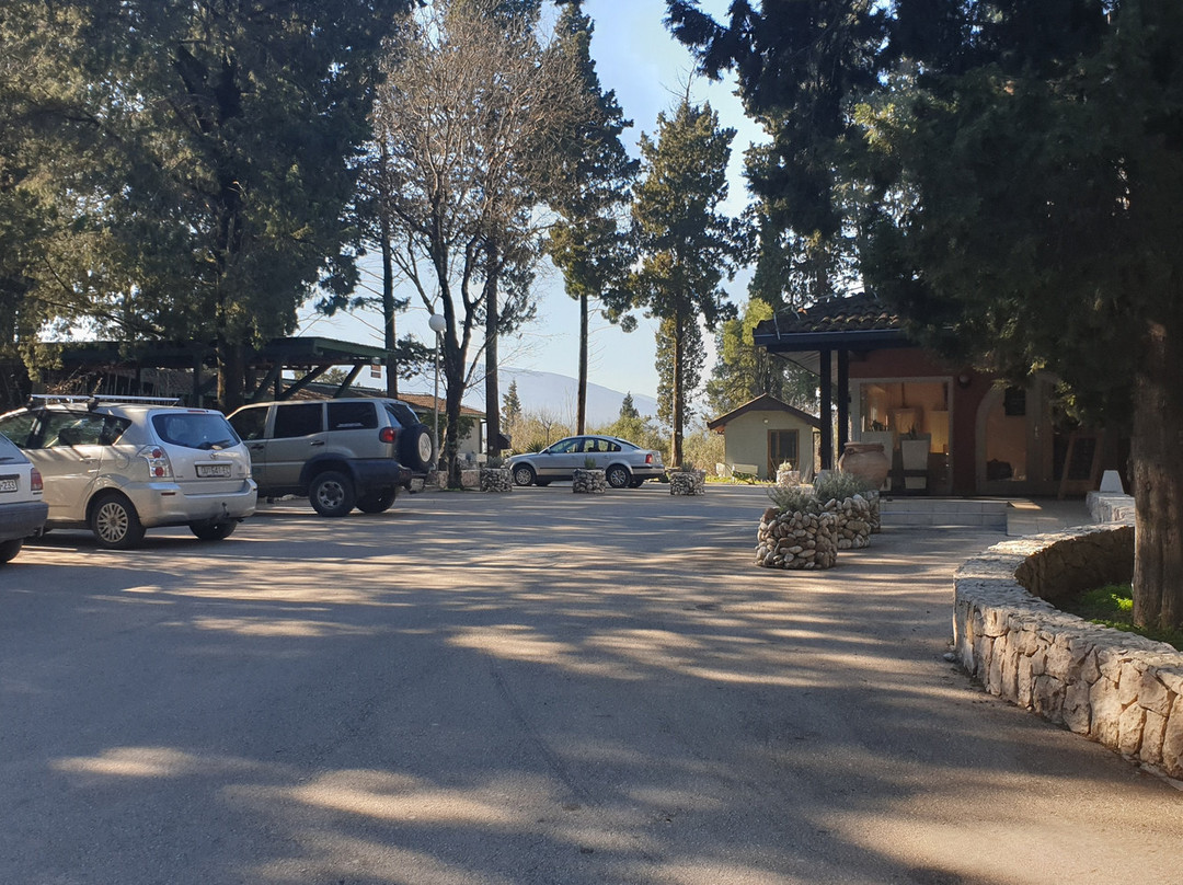 Nature Park Hutovo Blato景点图片