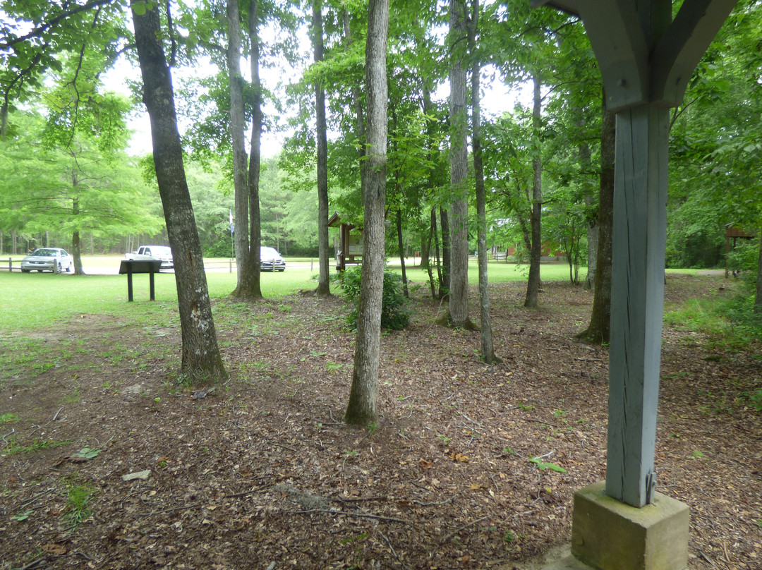 Woods Bay State Park景点图片