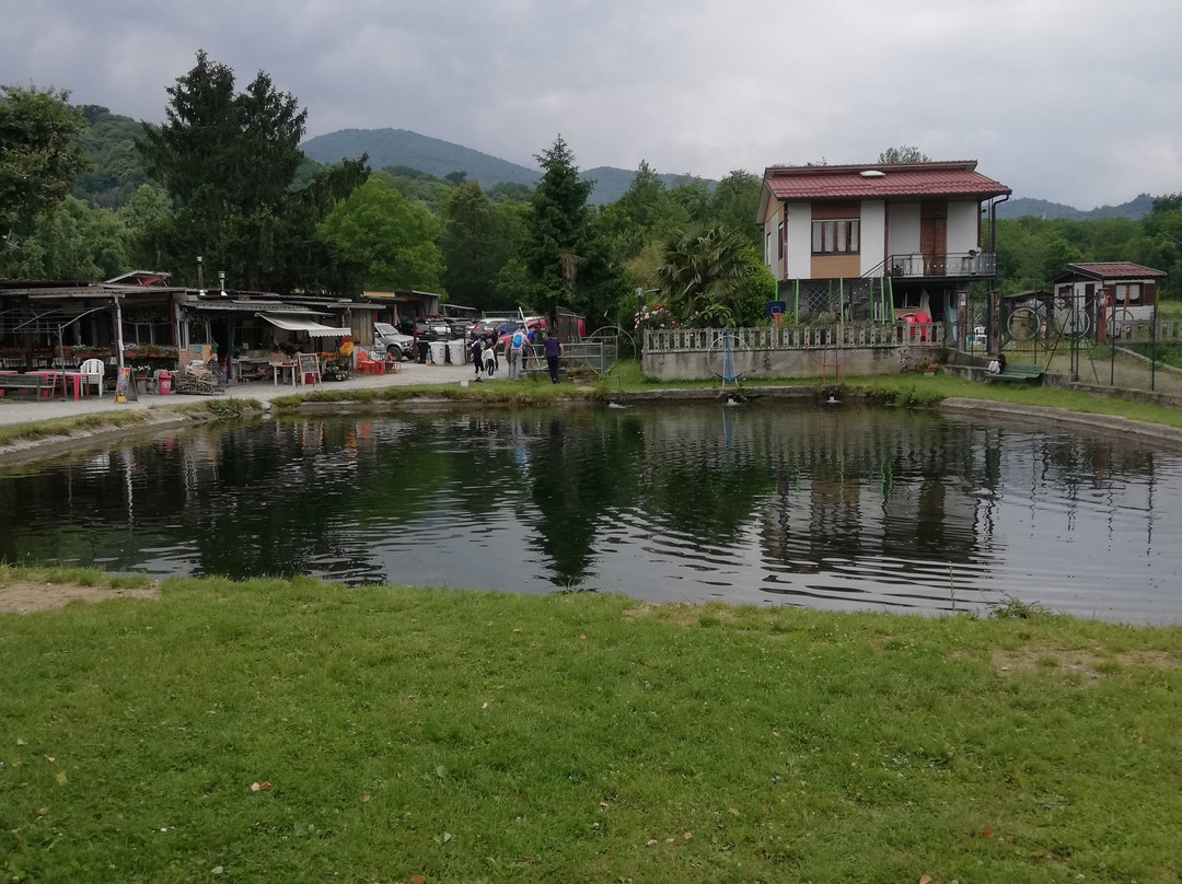 Laghetto Di Pesca Facilitata Alla Trota景点图片