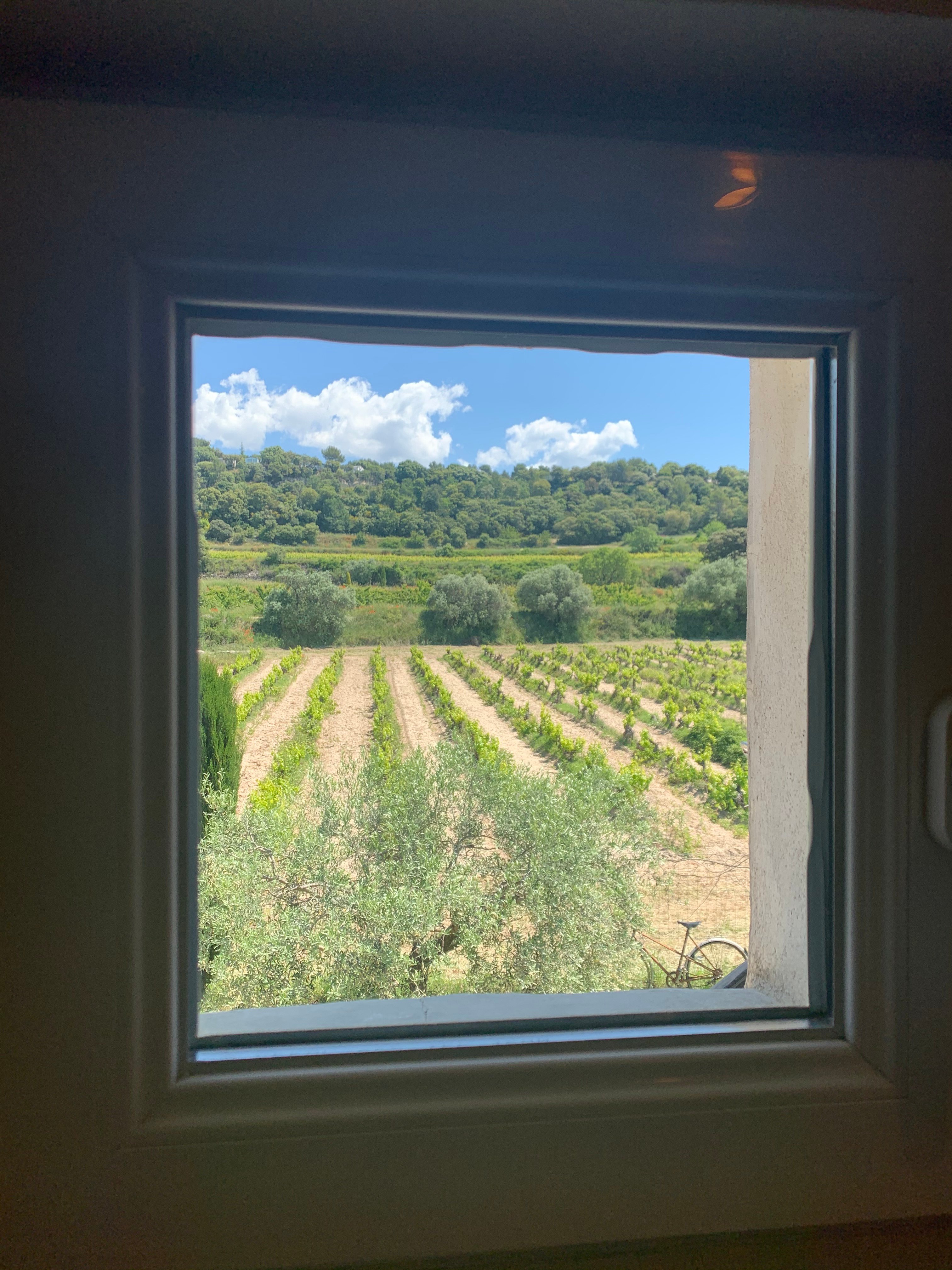 Domaine la Condamine-酒店景观