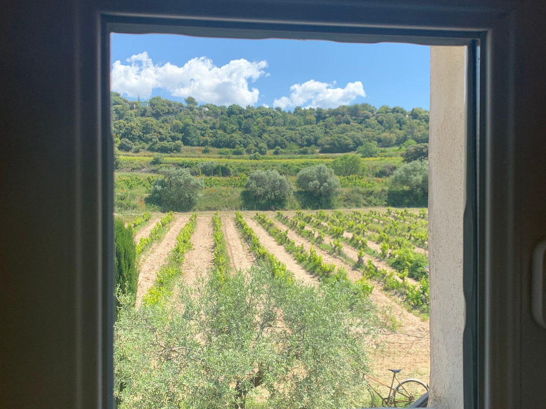 Domaine la Condamine主图