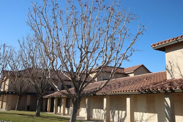 Calvary Chapel High Desert-希斯皮里亚必去景点