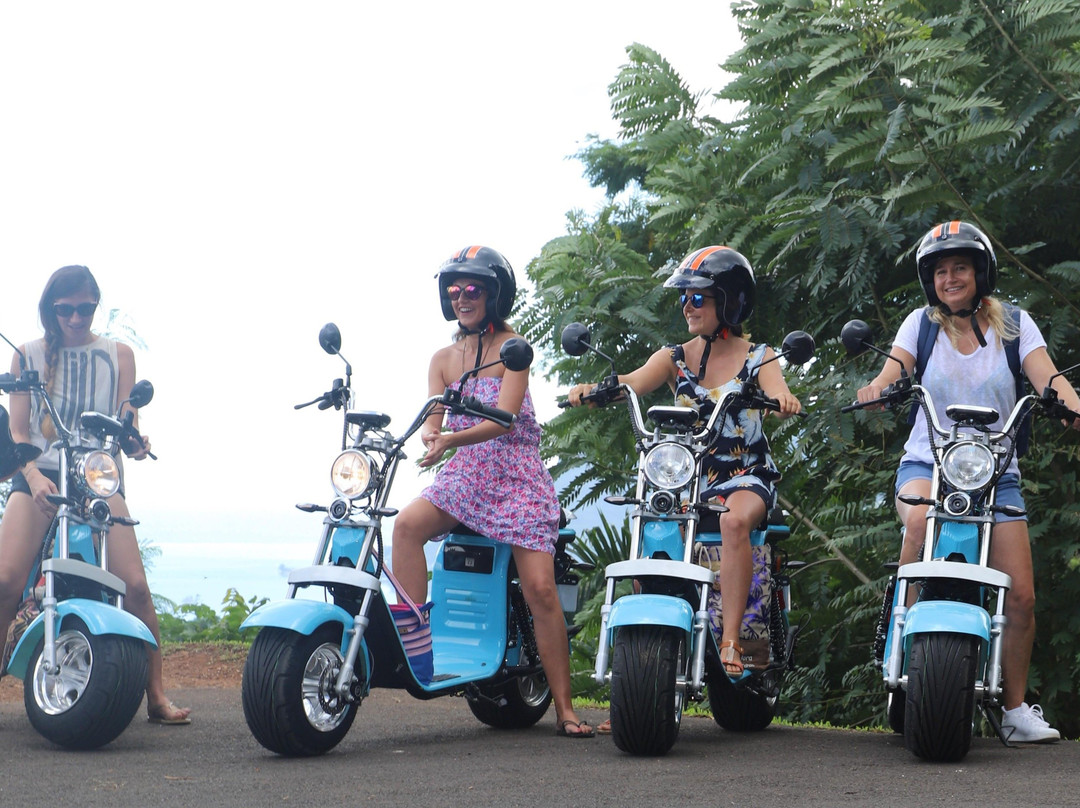 Electric Motors Moorea-莫雷阿岛必去景点