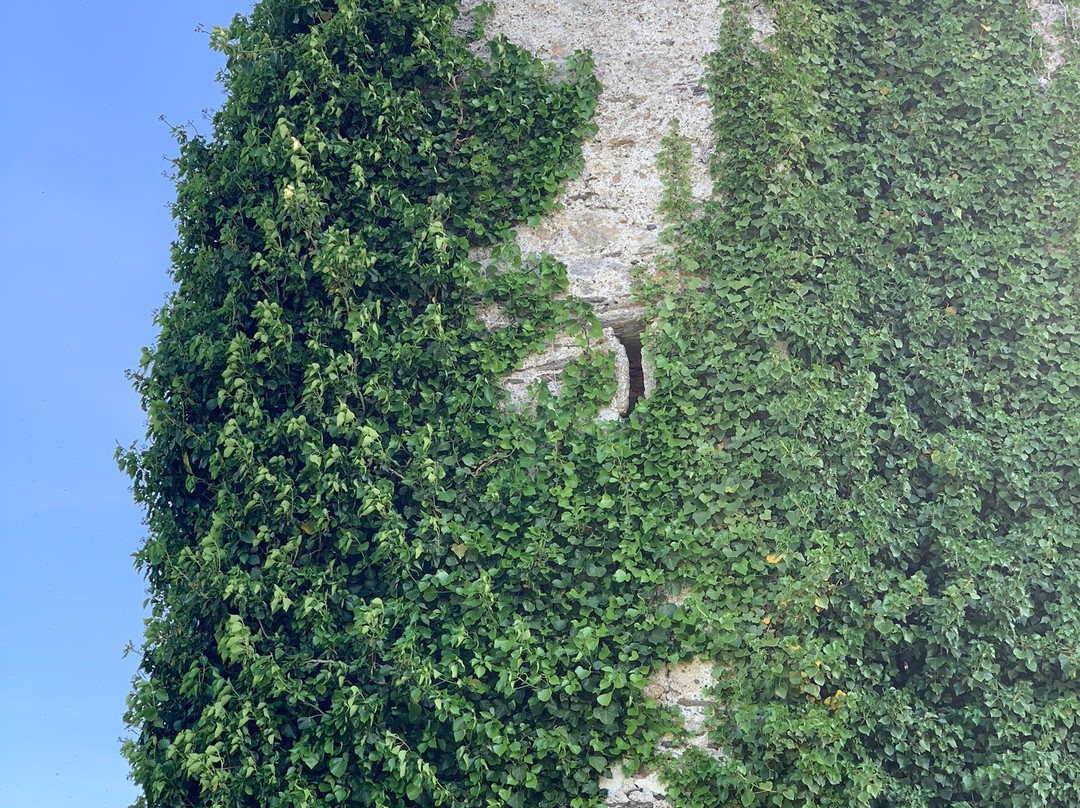 Puck's Castle Ruins-Shankill必去景点