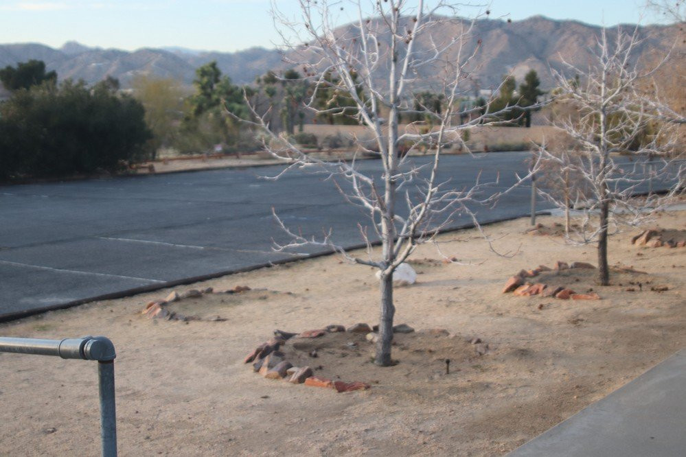 Desert Hills Presbyterian Church Yucca Valley-Yucca Valley必去景点