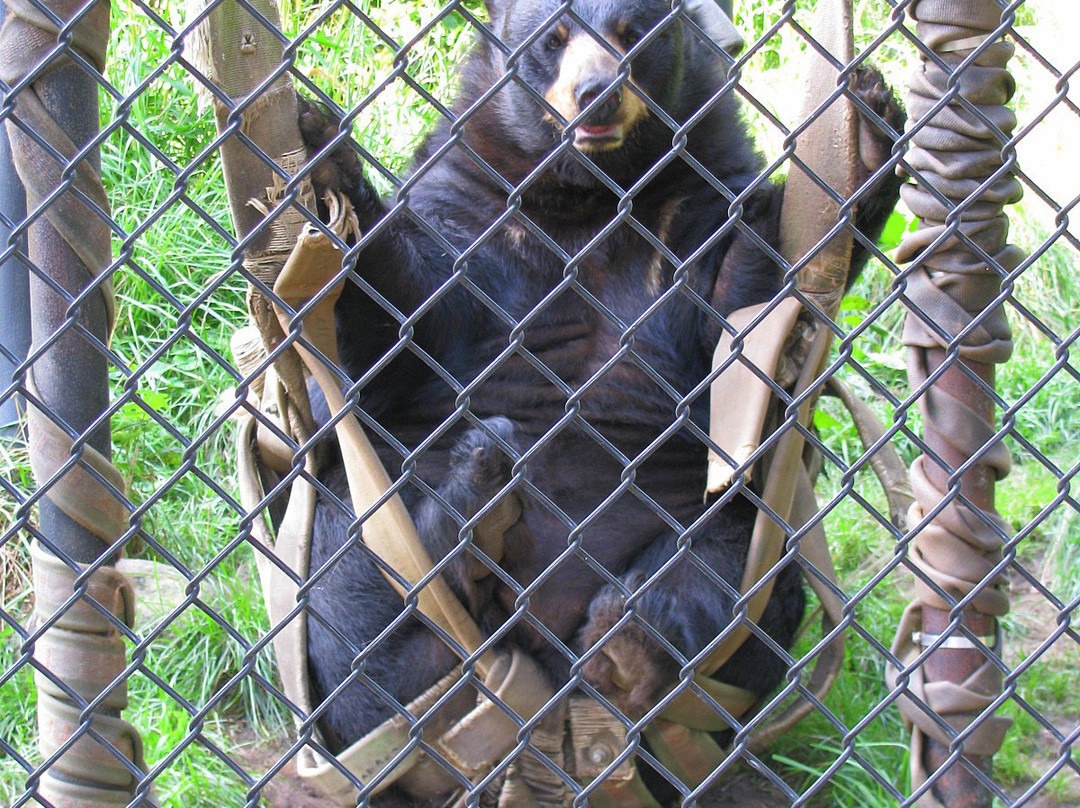 Ochsner Park Zoo-巴拉布必去景点