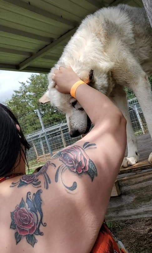 Greater Wynnewood Exotic Animal Park-Wynnewood必去景点