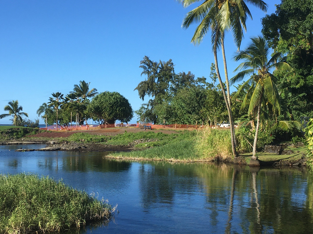 Reeds Bay Beach Park-希洛必去景点