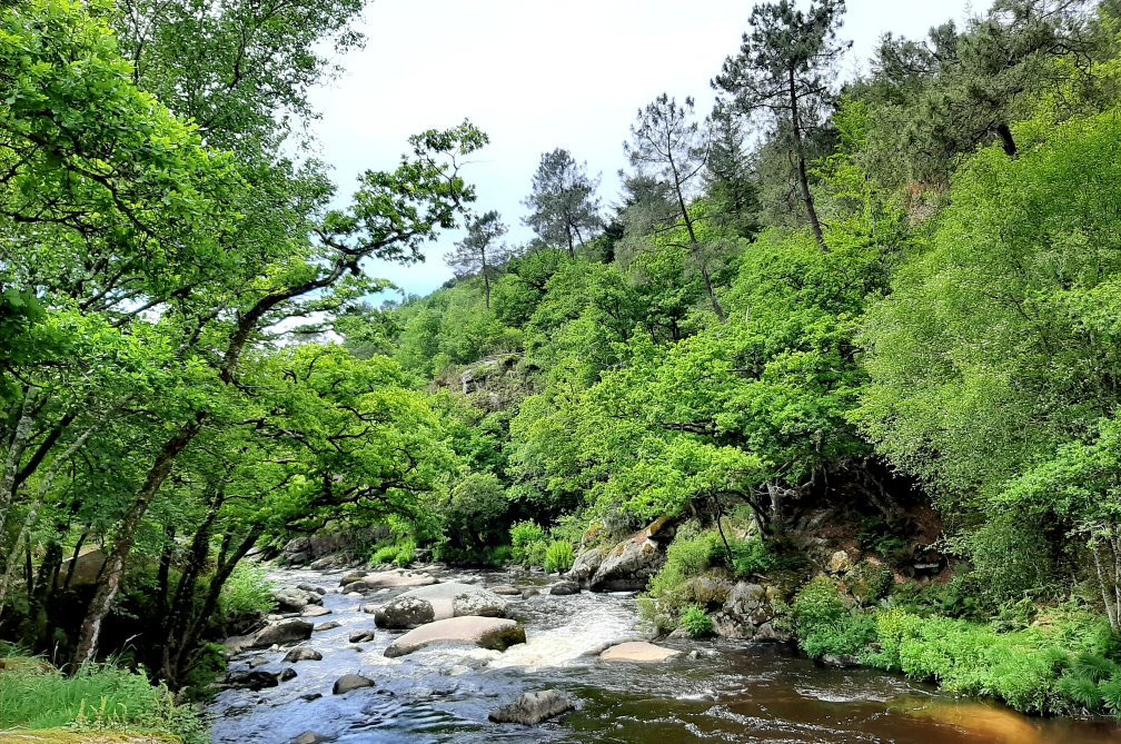 Les Roches Du Diable-Guilligomarc’h必去景点