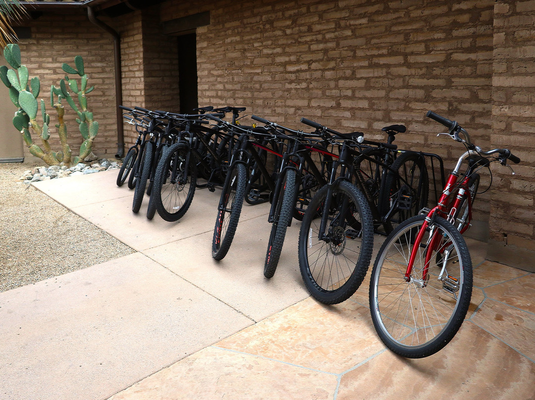 德芙山丽思卡尔顿酒店主图