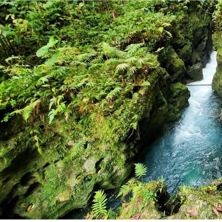 Rio Sonador-Yasica Arriba必去景点