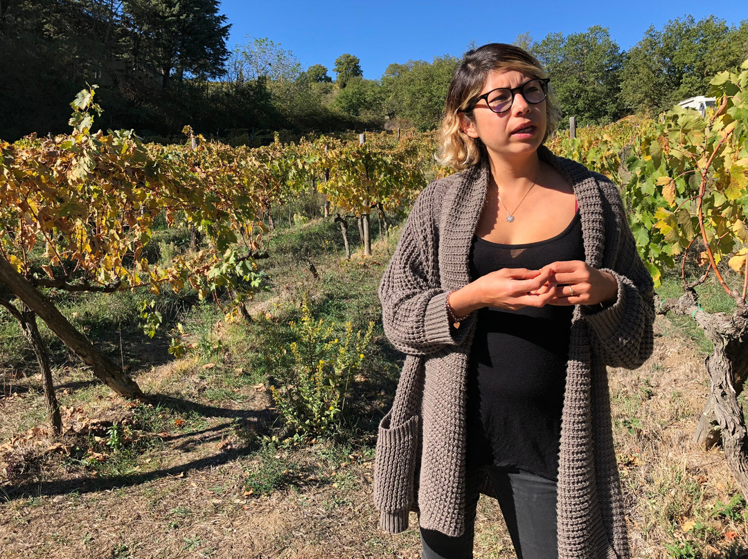 Piombaia wine cellar-蒙塔尔奇诺必去景点