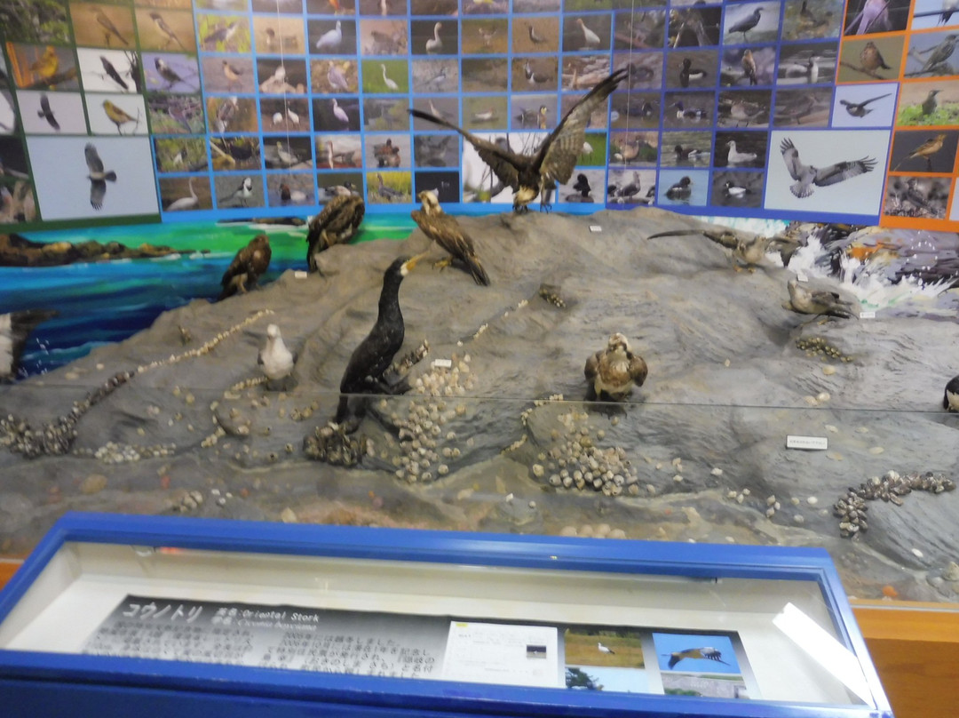 Oki Nature Museum-隐岐之岛町必去景点
