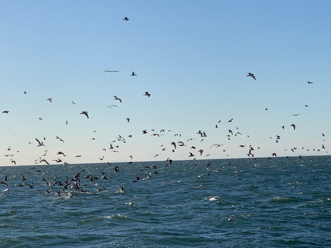 Queen Mary Party Fishing Boat & Charters景点图片