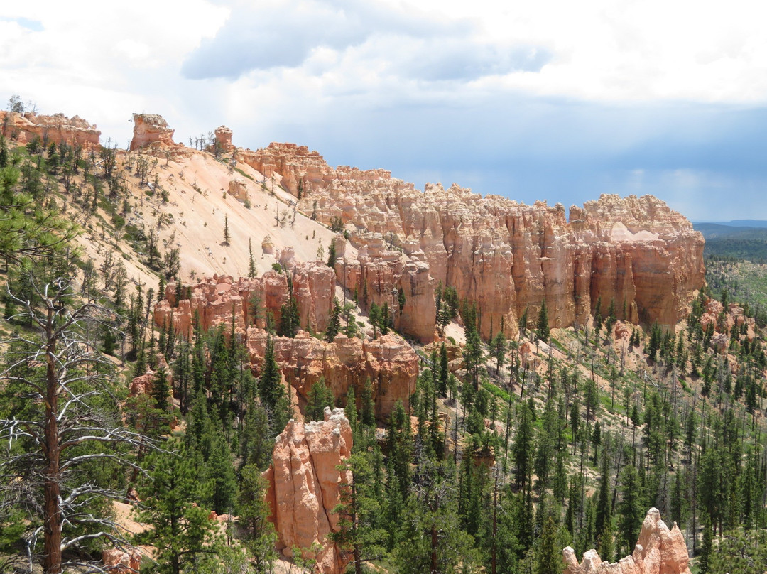 Swamp Canyon-布莱斯峡谷国家公园必去景点