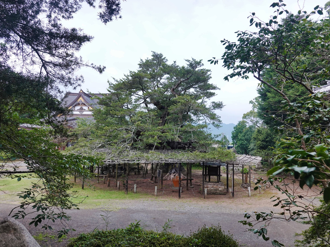 Kyoninji Temple-鸭川市必去景点