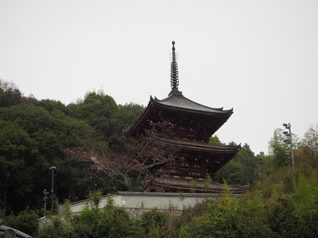 Saikokuji Temple-尾道市必去景点