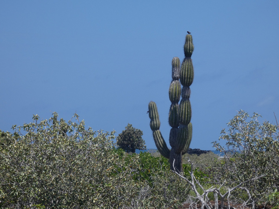 Rosa Blanca-圣克里斯托瓦尔必去景点