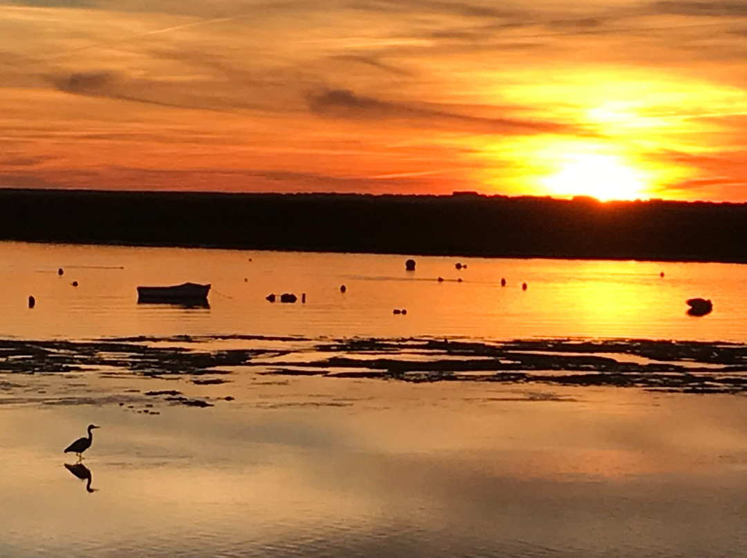 iSea Boat Charter-法罗必去景点