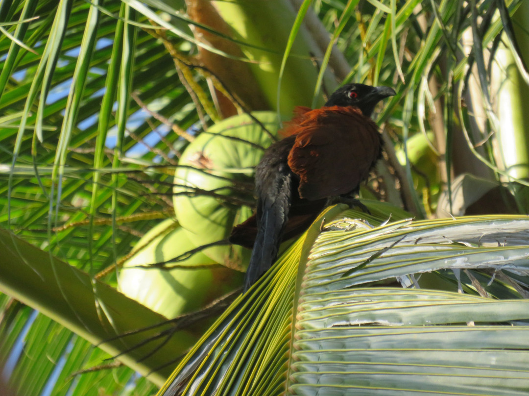 蝉之栈酒店主图