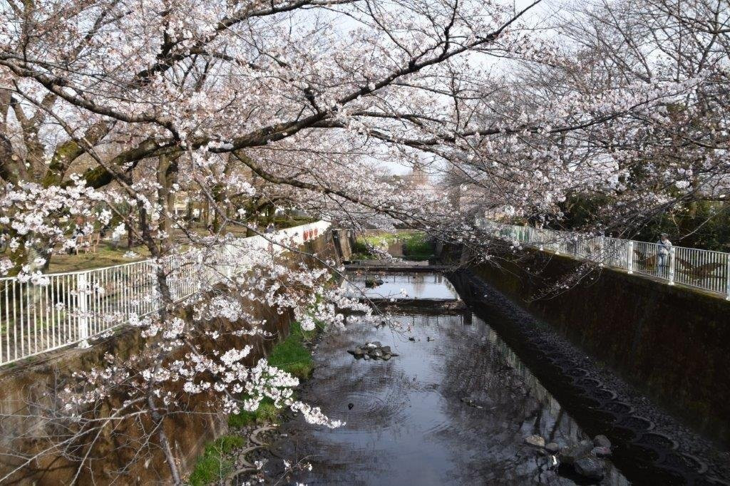 Sengawa Park-三鹰市必去景点