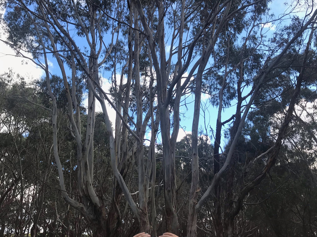 Kangaroo Island Wilderness Tours-袋鼠岛必去景点