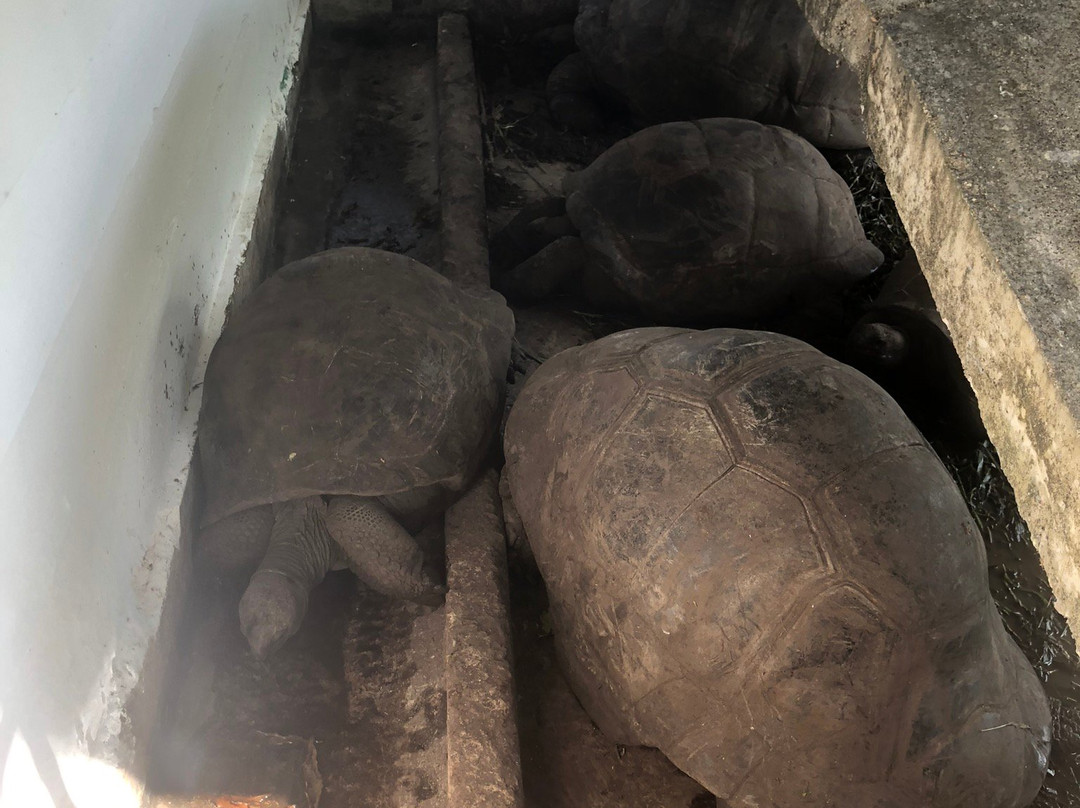 忘忧堡酒店主图