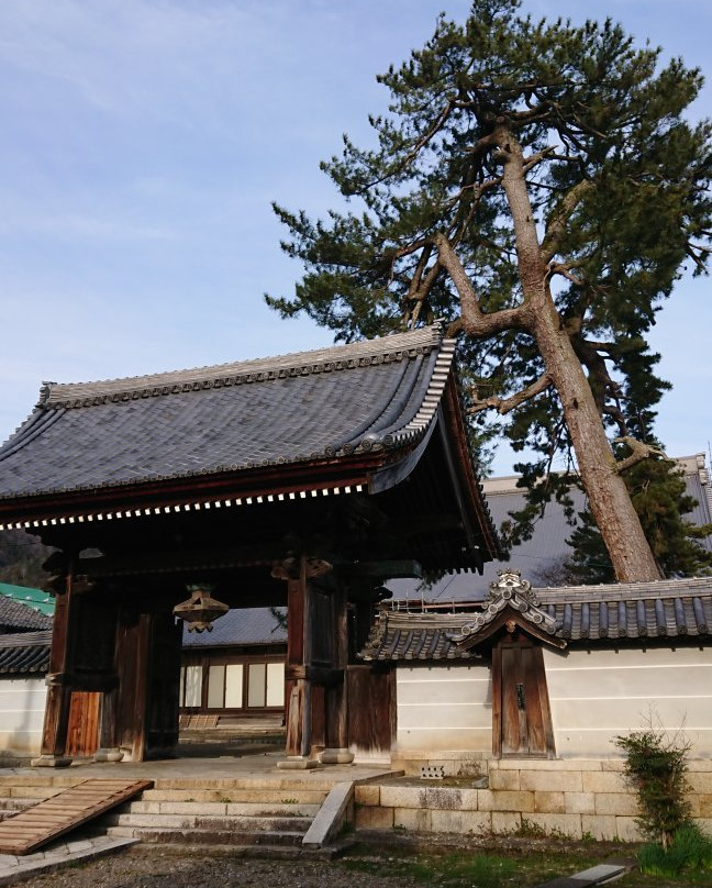 Myorakuji Temple-长滨市必去景点