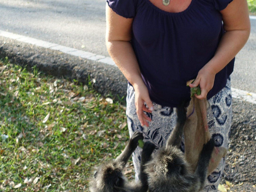 Bukit Melawati-瓜拉雪兰莪必去景点